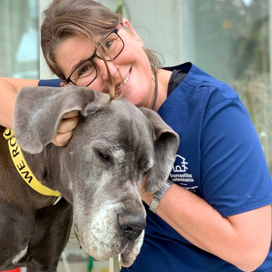 Servicio veterinario a domicilio