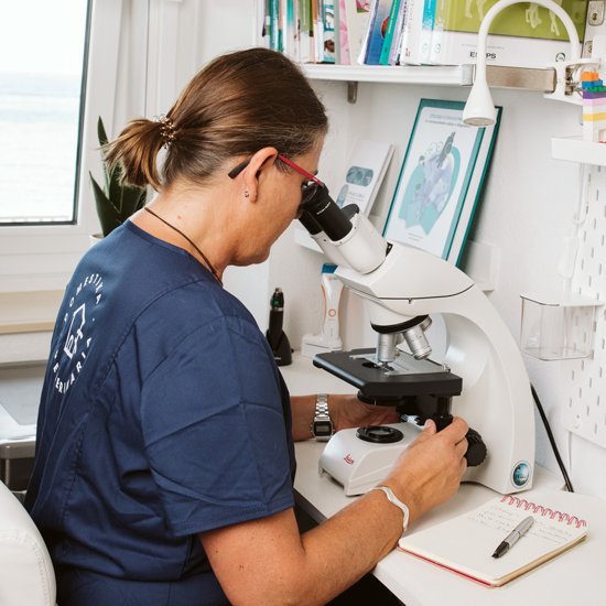 Laboratorio Domestika veterinaria