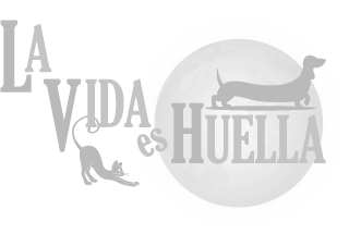 Cremación de mascotas