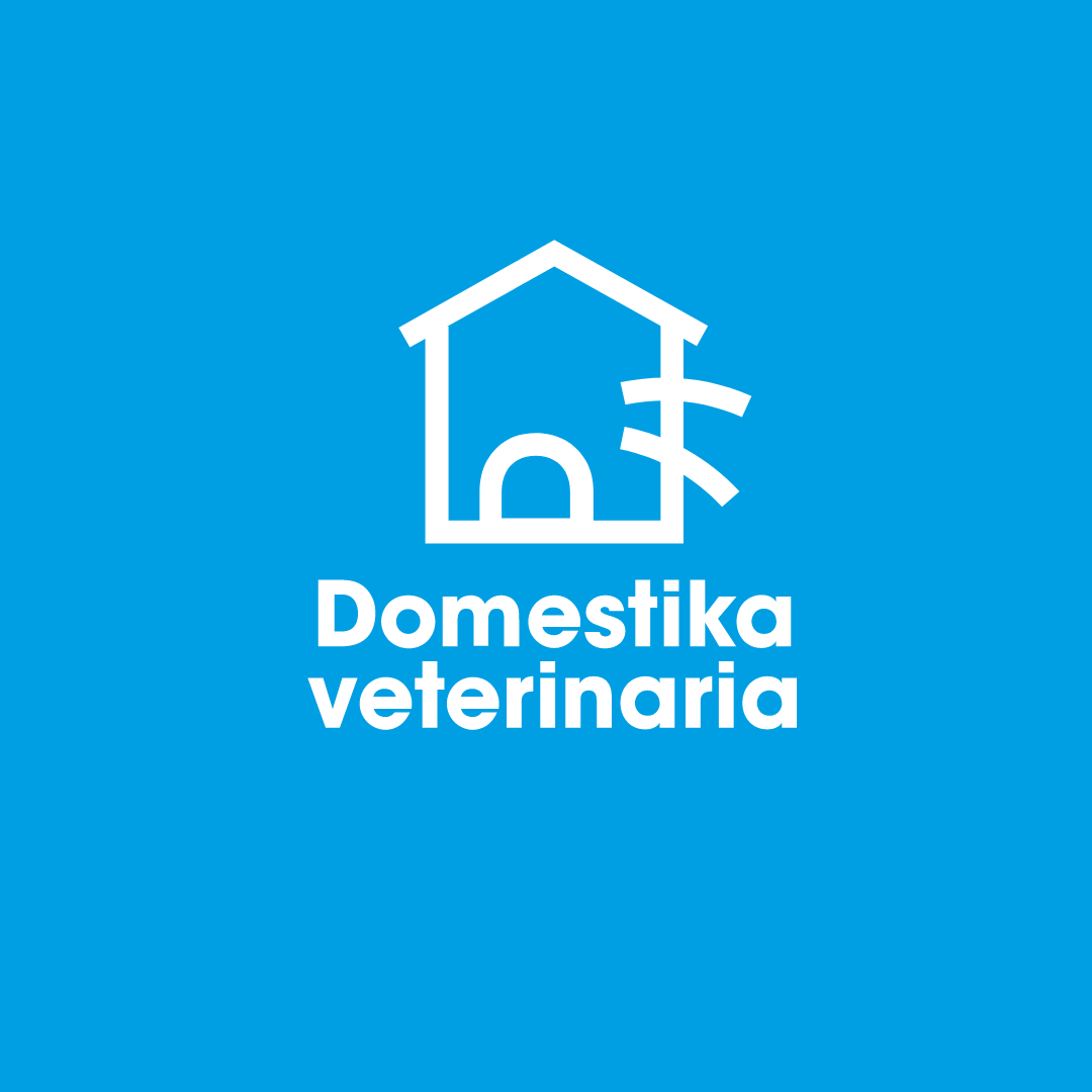 Domestika Veterinaria