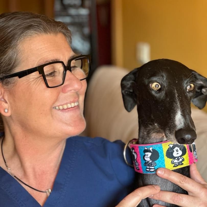 Consulta Canina Domestika Veterinaria